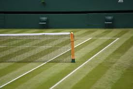 News The Championships Wimbledon 2019 Official Site By Ibm
