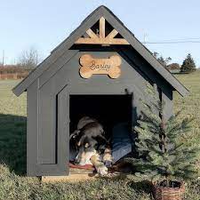 Buy Diy Modern Dog House Plans Outdoor
