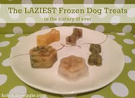 the 5 laziest frozen dog treat recipes