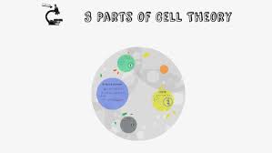 parts of cell theory by lexi sederopoulos