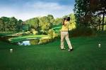 Golden Horseshoe Golf Club Gold Course