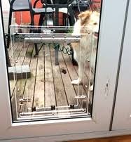 greyhound glass fitting door for