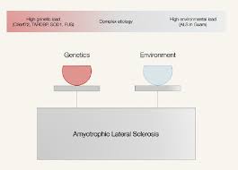 genes environment and climate in als