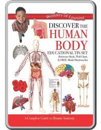 Human Body Tin