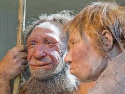 Were Neanderthals Religious? : 13.7: Cosmos And Culture : NPR