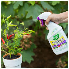 garden safe fungicide3 fungicide