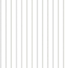 Smart Stripes 2 Skinny Stripe In Light