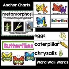 Butterflies Unit Powerpoint And Printables Non Fiction