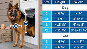 Install A Pet Door