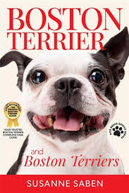 boston terriers ebook by susanne saben
