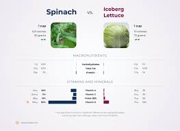 iceberg lettuce vs spinach