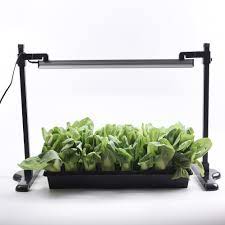 If you want a complete indoor garden kit, opt for the aerogarden harvest elite ( view at amazon ), which comes with a starter pack of seeds. Led Grow Light Light For Plants Stand House Greenhouse Led Light Garden Led Grow Light T5 Stand Led Plant Full Spectrum Nursery Trays Lids Aliexpress