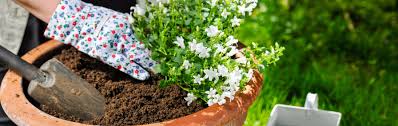 When To Plant In Ontario Dirt Cheap Soil Delivery In