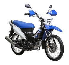 Honda kawasaki harley davidson automatic motorcycles motorcycle lists. Rent A Semi Automatic Motorbike In El Nido Palawan