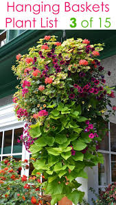 15 beautiful flower hanging baskets
