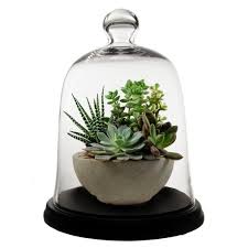 Glass Dome Bell Jar Cloche With Base