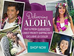 See some of our lovely selection of flowers below. Hawaiian Leis Delivered Fresh Nationwide Hawaii Flower Lei