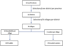 Flow Chart Of The National Edible Insect Survey In Laos