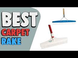 best carpet rake top rated