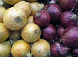 Onions recalled in all 50 states after ...