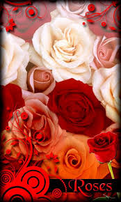 live rose wallpaper free