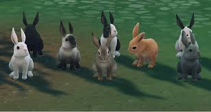 Horses also previously featured in the sims 3: Sims 4 Cottage Living Every Bunny Dance Now And Cheat To Get Rabbits Extra Time Media