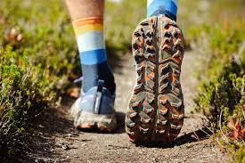 best trail running shoes of 2024