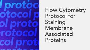 flow cytometry protocol for cell