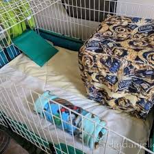 How To Sew Cage Liners For Guinea Pigs