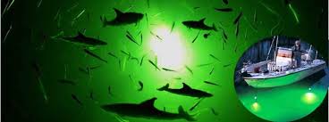 Keepalive Green Fishing Lights Aerators Bait Tanks And Oxygen Systems