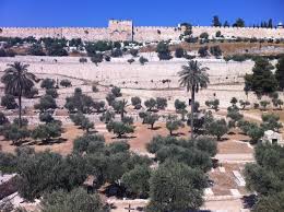 garden of gethsemane jerum