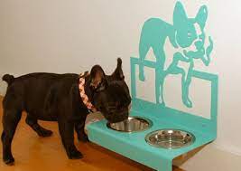 try this wall mounted dog bowl holder
