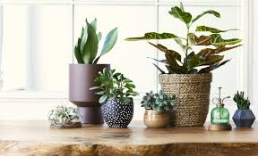 Flower Pot Designs 14 Creative Ideas