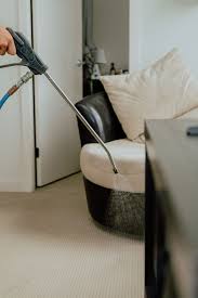 natural carpet cleaning vancouver