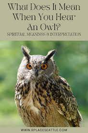 Hearing two owls hooting meaning