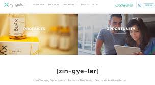xyngular homepage