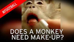 bizarre video of monkey having make up
