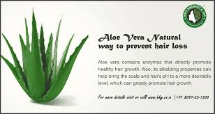 When it comes to health, inside and out, prevention is the best medicine! Hair Loss Home Remedies Hair Care Tips By Hhy Clinic