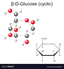 glucose vector image