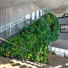 Livepanel Indoor Creates A Living Plant