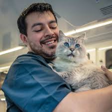 Mobile cat nail clipping service near me. King S Mobile Pet Grooming In Burbank California
