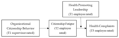 organizational citizenship behavior