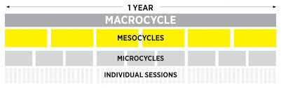 Mesocycle Sportlyzer Academy