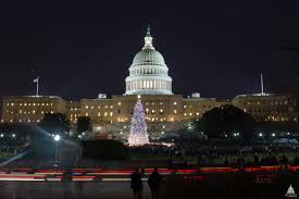 File 2012 Capitol Christmas Tree 8246035000 Jpg