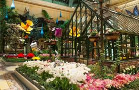 8 Best Las Vegas Botanical Gardens And