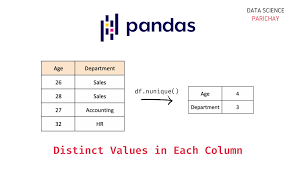 pandas count of unique values in each