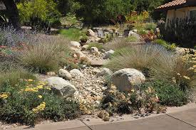 Water Wise Gardening In Santa Cruz County