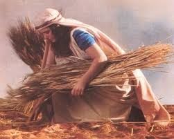 Image result for spanish female workers in a wheat field