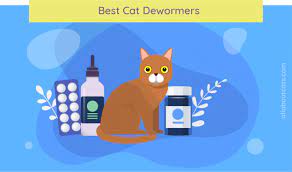 Check spelling or type a new query. Best Cat Dewormers Of 2021 Kill Tapeworms Roundworms More