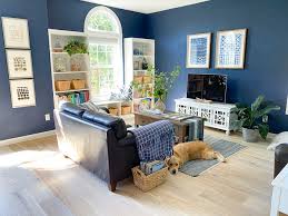 how to choose pet friendly flooring